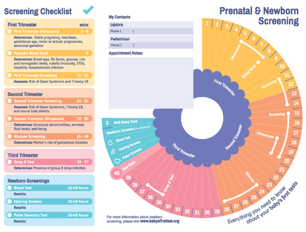 What To Expect Before Birth | Baby's First Test | Newborn Screening ...